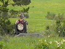 If we paint a bullseye on it, maybe that'll get rid of him.