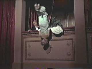 Balcony hanging is the life for me...