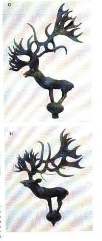 Bullwinkle's harem