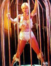 See?  THIS is what happens when you mix grog and wormwood.