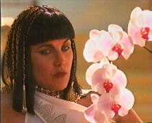 Orchid of a rosy hue/Tell me if her love is true